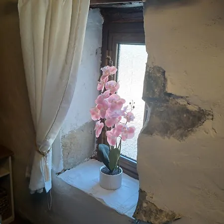 Appartement George's House *
