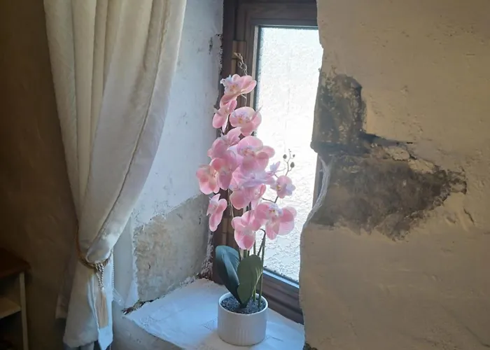 Appartement George's House *