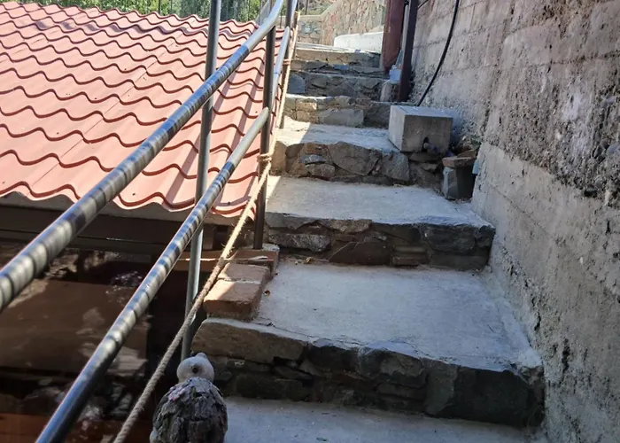 Διαμέρισμα George's House Ασκάς